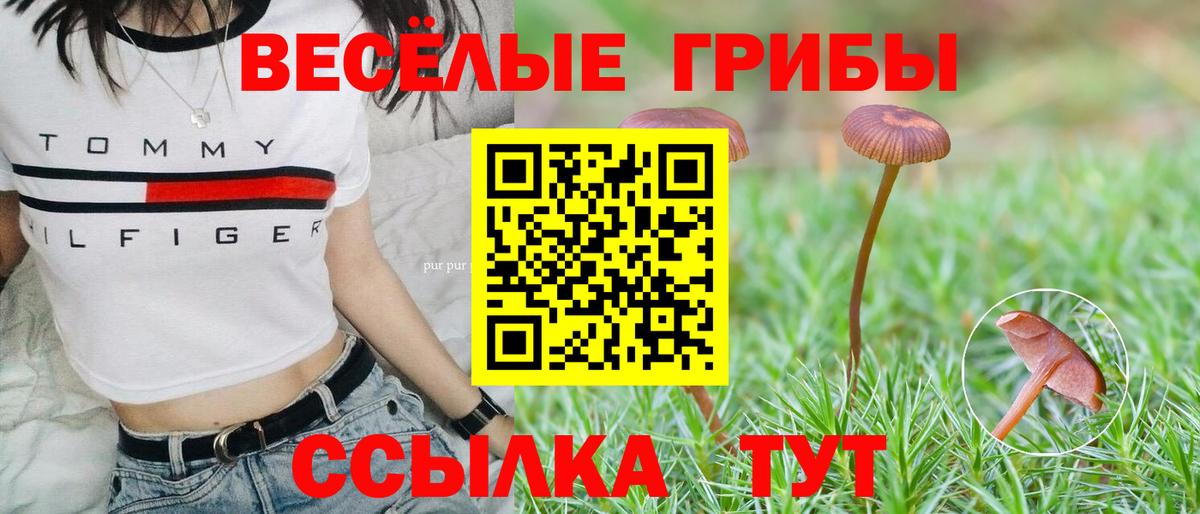 Псилоцибиновые грибы MAGIC MUSHROOMS  Вход с VPN  Белово 