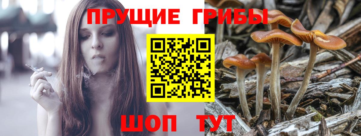 Псилоцибиновые грибы MAGIC MUSHROOMS Белово